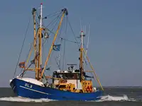 Kapal trawler kanggo didol