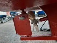 Kapal cutter kanggo didol