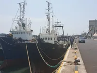 Kapal trawler kanggo didol