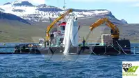 Multi-purpose kanggo didol