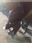 Kapal pilot kanggo didol