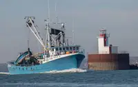 Kapal purse seiner kanggo didol