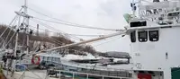 Kapal trawler kanggo didol