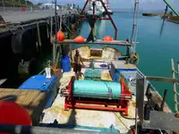 Trawler kanggo didol