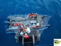 Kapal pesiar kanggo didol