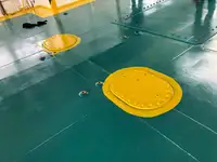 Kapal Ro-Ro kanggo didol