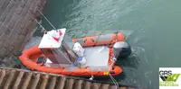 Perahu inflatable kaku kanggo didol