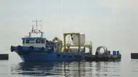 Towboat kanggo didol