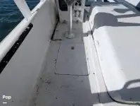 Kapal pesiar-feri kanggo didol