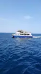 Katamaran kanggo didol