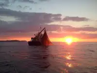 Kapal trawler kanggo didol