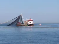 Kapal pancing kanggo didol