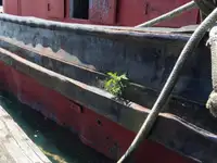 Kapal penarik kanggo didol