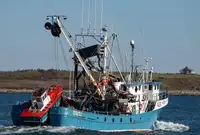 Kapal purse seiner kanggo didol