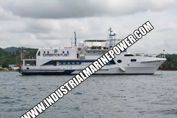 Cruise ship for sale