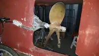 Kapal trawler kanggo didol