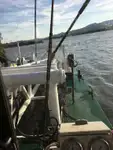 Kapal dredger kanggo didol