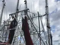 Kapal trawler kanggo didol