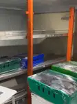 Kapal pesiar-feri kanggo didol