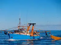 Kapal trawler kanggo didol