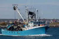 Kapal purse seiner kanggo didol