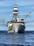 Kapal purse seiner kanggo didol