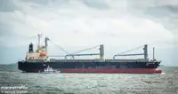Kapal pengangkut barang curah kanggo didol
