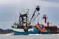 Kapal purse seiner kanggo didol