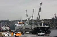 Kapal pengangkut barang curah kanggo didol