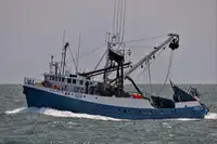 Kapal purse seiner kanggo didol
