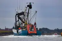 Kapal purse seiner kanggo didol