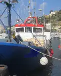 Kapal trawler kanggo didol