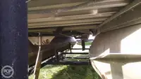 Kapal kontainer kanggo didol