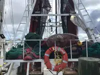 Kapal trawler kanggo didol