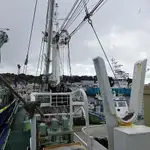 Kapal purse seiner kanggo didol