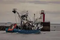 Kapal purse seiner kanggo didol