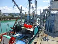 Trawler kanggo didol