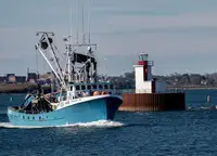 Purse seiner kanggo didol