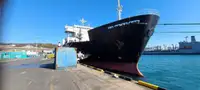 Ro-Ro ship kanggo didol
