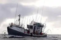 Kapal trawler kanggo didol