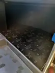 Kapal pesiar kanggo didol