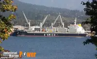 Pembawa akeh kanggo didol