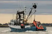 Kapal purse seiner kanggo didol