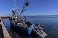 Kapal purse seiner kanggo didol