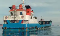 Kapal pendaratan, tangki kanggo didol