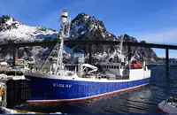 Purse seiner kanggo didol