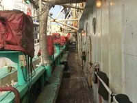 Kapal jigger cumi-cumi kanggo didol