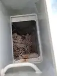 Kapal feri kanggo didol