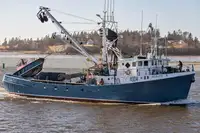 Purse seiner kanggo didol