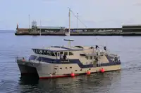 Kapal survei kanggo didol